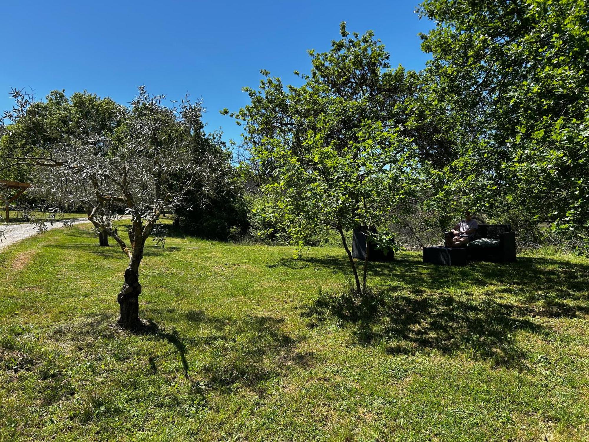 Les Demeures Du Clos Niozelles Luaran gambar
